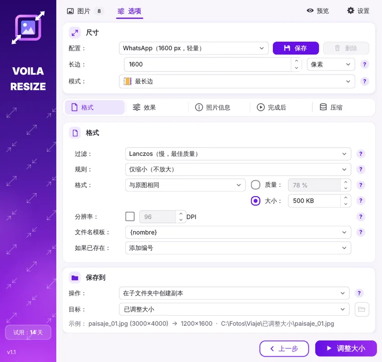 Voila Resize 窗口，显示尺寸、格式和保存位置选项